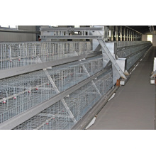 Broiler Battery Chicken Cage System